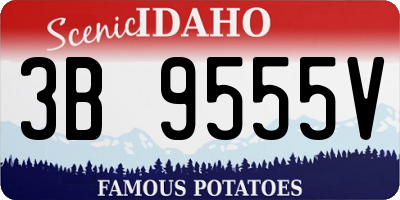 ID license plate 3B9555V