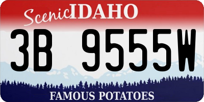 ID license plate 3B9555W