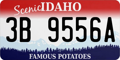 ID license plate 3B9556A