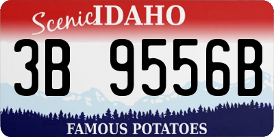 ID license plate 3B9556B