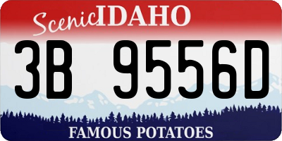 ID license plate 3B9556D
