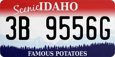 ID license plate 3B9556G