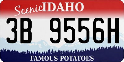 ID license plate 3B9556H