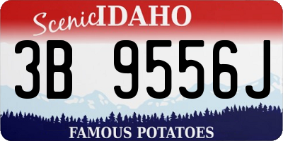 ID license plate 3B9556J
