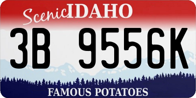 ID license plate 3B9556K