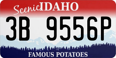 ID license plate 3B9556P