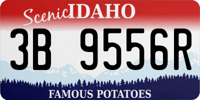 ID license plate 3B9556R