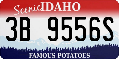 ID license plate 3B9556S