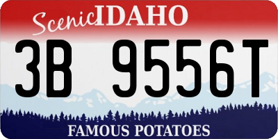 ID license plate 3B9556T