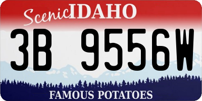 ID license plate 3B9556W