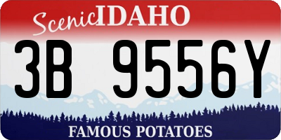 ID license plate 3B9556Y