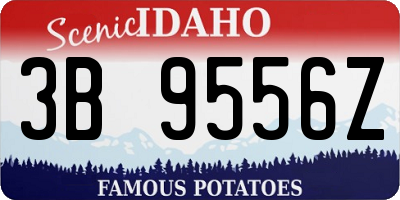 ID license plate 3B9556Z
