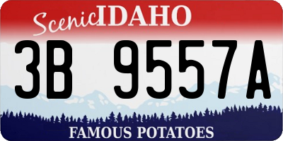 ID license plate 3B9557A