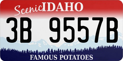 ID license plate 3B9557B