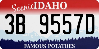 ID license plate 3B9557D