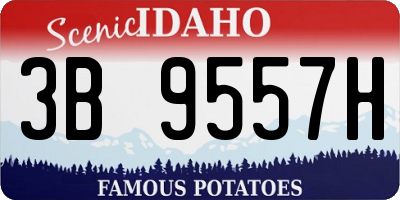 ID license plate 3B9557H