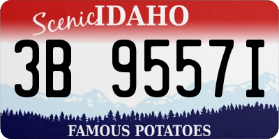 ID license plate 3B9557I