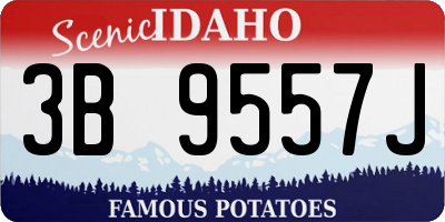 ID license plate 3B9557J