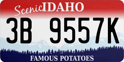 ID license plate 3B9557K