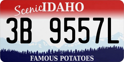 ID license plate 3B9557L