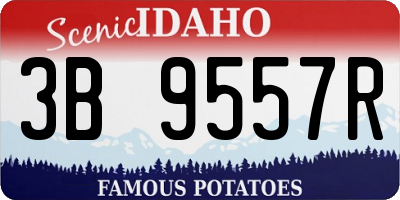 ID license plate 3B9557R