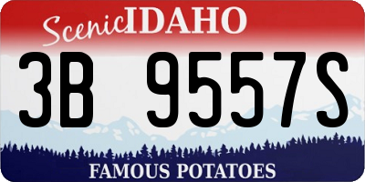 ID license plate 3B9557S