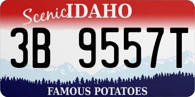 ID license plate 3B9557T