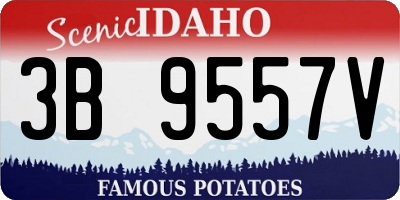 ID license plate 3B9557V