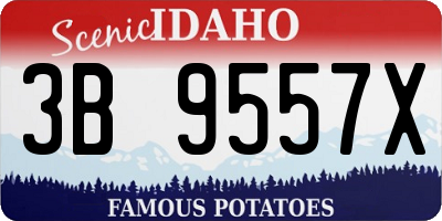 ID license plate 3B9557X