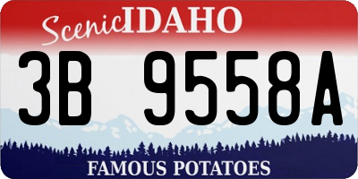 ID license plate 3B9558A