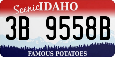 ID license plate 3B9558B