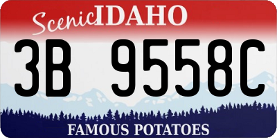 ID license plate 3B9558C