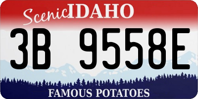 ID license plate 3B9558E