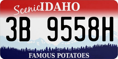 ID license plate 3B9558H