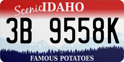 ID license plate 3B9558K