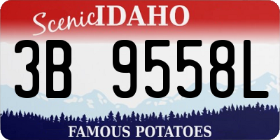 ID license plate 3B9558L