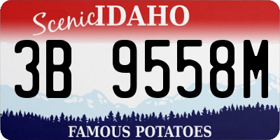ID license plate 3B9558M