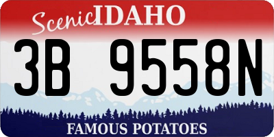 ID license plate 3B9558N