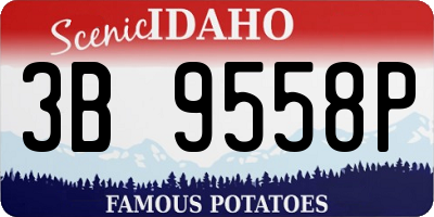 ID license plate 3B9558P