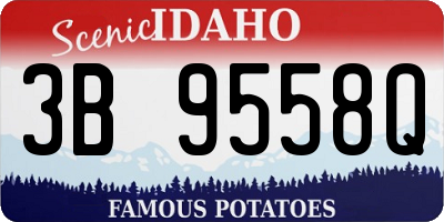 ID license plate 3B9558Q