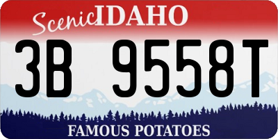 ID license plate 3B9558T