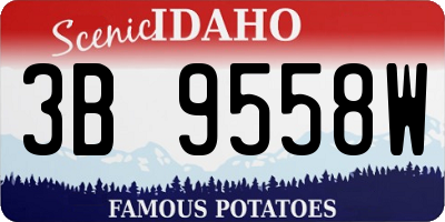 ID license plate 3B9558W