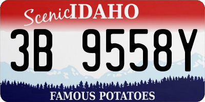 ID license plate 3B9558Y