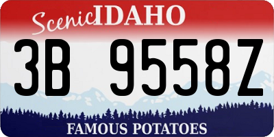 ID license plate 3B9558Z