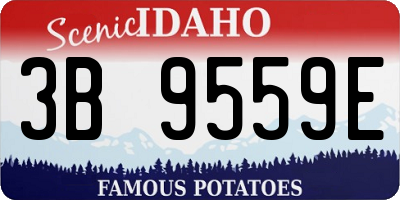 ID license plate 3B9559E