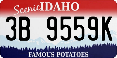 ID license plate 3B9559K