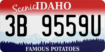 ID license plate 3B9559U