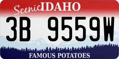 ID license plate 3B9559W