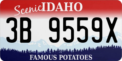 ID license plate 3B9559X