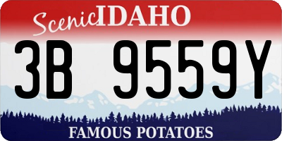 ID license plate 3B9559Y
